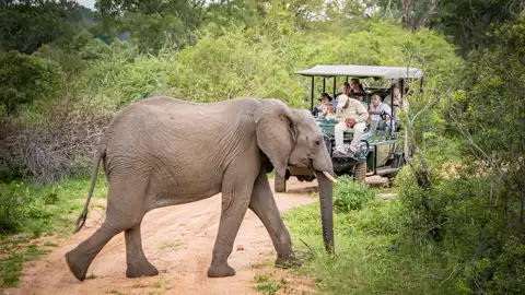 Iketla Lodge | Ohrigstad, Limpopo